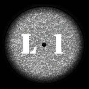 Download track L1b Lonerist