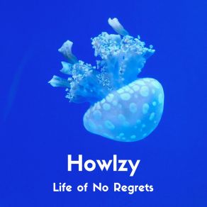 Download track Life Of No Regrets (Vocal Version) Howlzy