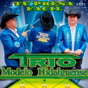 Download track Nadie Sabe Lo Que Tiene Trio Modelo Hidalguense