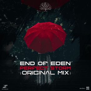 Download track Perfect Storm (Radio Edit) End Of Eden