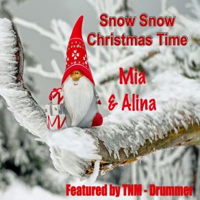 Download track Snow Snow Christmas Time (Extended Mix) TNM - DrummerMIA, Alina