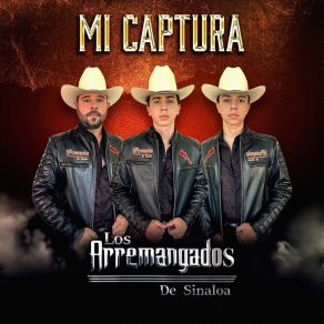 Download track El Caballo Retinto Los Arremangados De Sinaloa