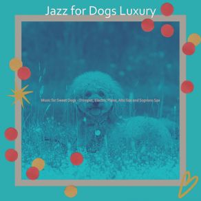 Download track Hip Moods For Sweet Dogs Jazz For Dogs Luxury