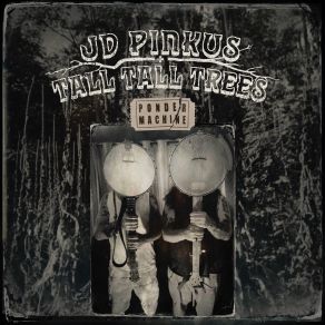 Download track JD Pinkus, Tall Tall Trees - Building More Fires Tall Tall Trees, JD Pinkus