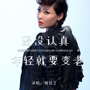 Download track 还没认真年轻就要变老 (Live合唱版伴奏) 魏佳艺