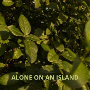 Download track Alone On An Island Sascha Fetsch