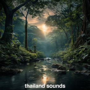 Download track Chiang Mai Neighborhood (Birds Chirping, Distant City) Rainbolt