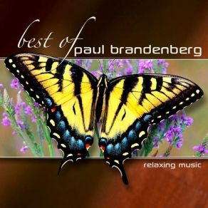 Download track Between The Time Paul Brandenberg