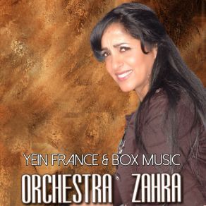 Download track Ain Zora Orchestra Zahra