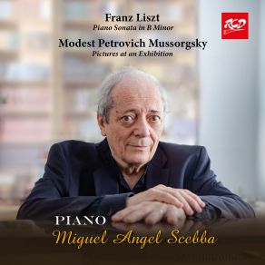 Download track Piano Sonata In B Minor, S. 178: II. Allegro Energico Miguel Angel Scebba