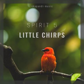 Download track Outdoor Bird Sounds Spirit 5