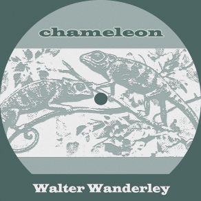 Download track Que Sabe Você De Mim Walter Wanderley