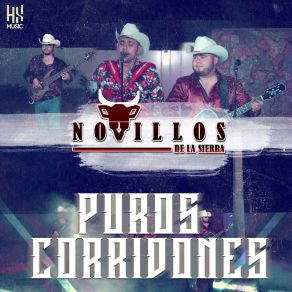 Download track Recordando A Los Beltran Leyva Novillos De La Sierra