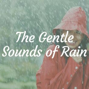 Download track Rain Of Beauty Night Rain