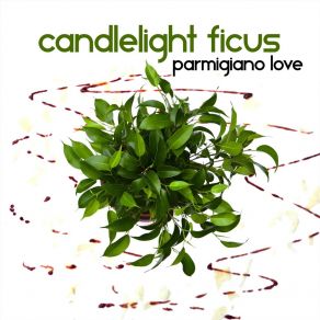 Download track Connection Candlelight Ficus