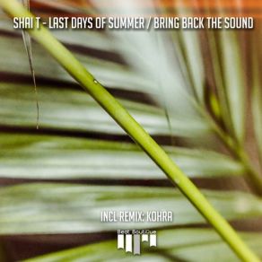 Download track Last Days Of Summer Kohra, Shai T