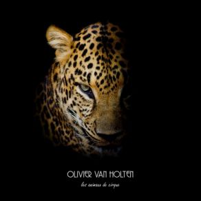 Download track Odd Couple Olivier Van Holten