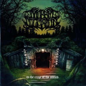 Download track Voices From The Beyond Morbid Illusion