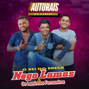 Download track Desmantelo Os Laminhas Forrozeiros