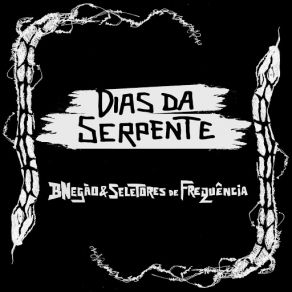 Download track Dias Da Serpente Bnegão & Seletores De Frequência