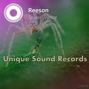 Download track Spider Trance Reeson