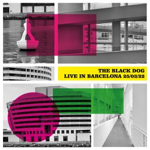 Download track Form, Function And Friction (Live) The Black Dog