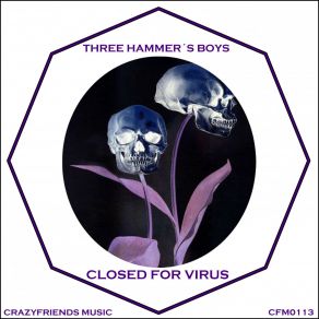 Download track Closed For Virus (Radio Edit) Three Hammaer´s Boys