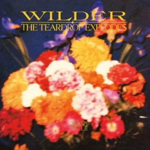 Download track The Culture Bunker The Teardrop Explodes