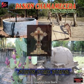 Download track El Viudo Pasión Chamamecera