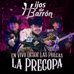 Download track Ismael (En Vivo) Hijos De Barron