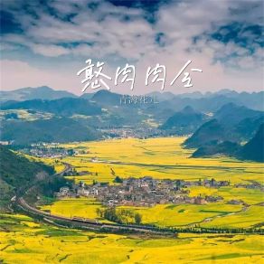 Download track 憨肉肉令 (空枪版) 青海花儿