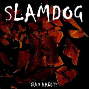 Download track Drive Me Crazy Slamdog