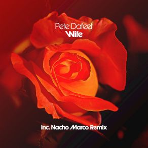 Download track Wife Extended Mix Pete Dafeet