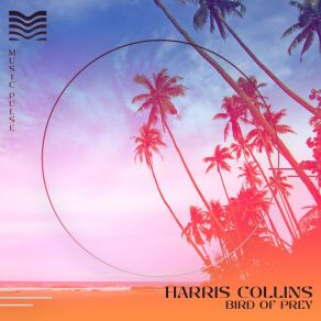 Download track Bird Of Prey (Extended) Harris Collins