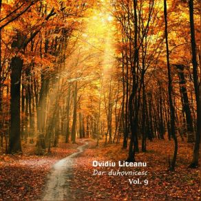 Download track Mijlocire Ovidiu Liteanu