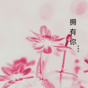 Download track 年轻的心 李寒龙