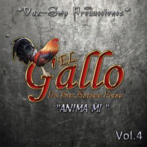 Download track Al Son De Mi Tierra El Gallo De San Marcos Peras