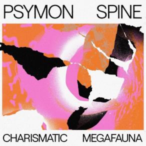 Download track Solution Psymon Spine