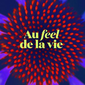 Download track Bouteille À La Mer Au Feel De La VieJulie Dassylva