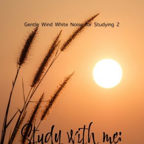 Download track Gentle Wind White Noise For Studying, Pt. 5 Bryan Maxwell