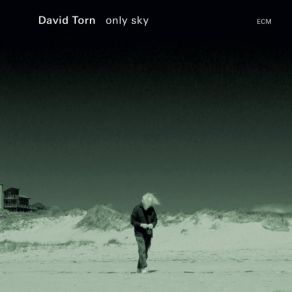 Download track Only Sky David Torn