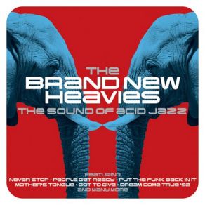 Download track Ride The Sky The Brand New Heavies