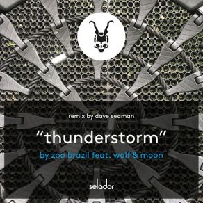 Download track Thunderstorm (Dave Seaman Dub) Dave Seaman, Zoo Brazil, Wolf, Wolf Moon