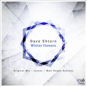 Download track Winter Flowers Dave Shtorn