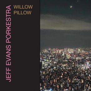 Download track Willow Pillow Jeff Evans Porkestra