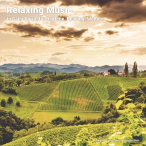 Download track Relaxing Music For Noise Reduction Meditation Music