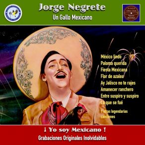 Download track El Jinete El Mariachi Vargas