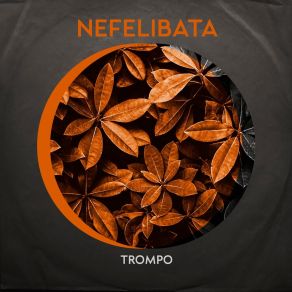 Download track Nefelibata Trompo