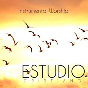 Download track Desde Mi Interior Instrumental Worship