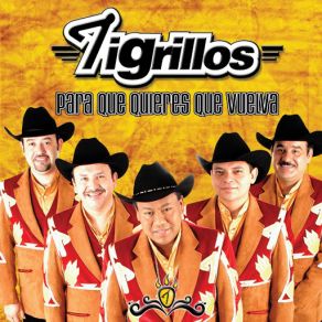 Download track La Empanadita Los Tigrillos